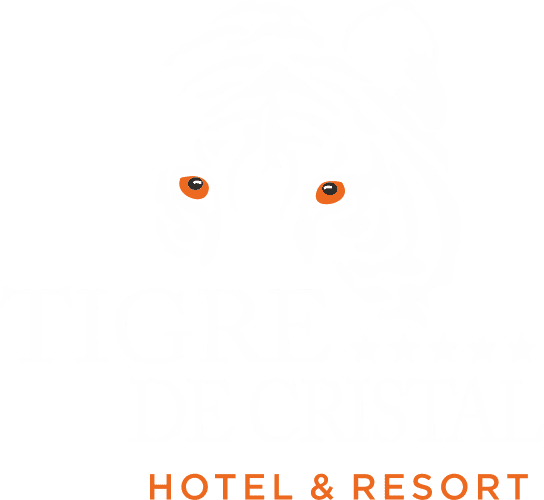 Казино Tigre de Cristal